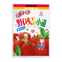 野いちごの小道