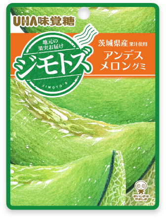 茨城県産 アンデスメロングミ