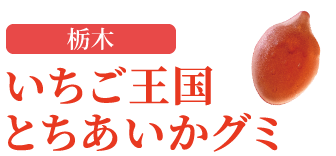 UHA PREMIUM GUMMY 栃木産 いちご王国 とちあいかグミ