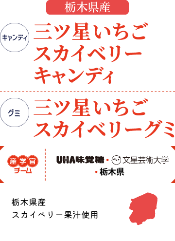 産学官チーム｜UHA味覚糖・文星芸術大学・栃木県　栃木県産スカイベリー果汁使用