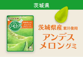 茨城県 果汁使用 アンデスメロングミ