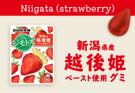 Niigata Echigohime Strawberry Gummy