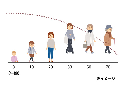 オートファジーが年齢とともに低下するイメージグラフ