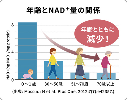 年齢とNAD+量の関係を示した棒グラフです。0-1歳で最も高いNAD+量が、年齢を重ねるにつれて減少し、70歳以上では大幅に低下することを示しています。