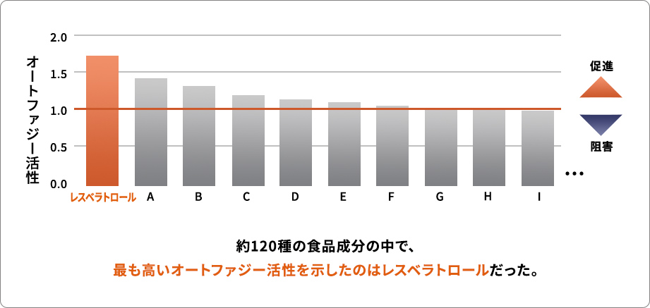 「オートファジー活性」の棒グラフ 約120種の食品成分の中で、最も高いオートファジー活性を示したのはレスベラトロールだった。