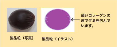 製品粒（写真）/製品粒（イラスト） 薄いコラーゲンの皮でグミを包んでいます。