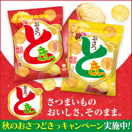 ぷっちょの3Dパネル ぷっちょの3Dパネル