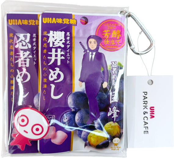 ケースに入った忍者めし