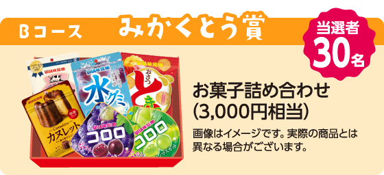 【Bコース　みかくとう賞】 お菓子詰め合わせ（3,000円相当）　当選者30名