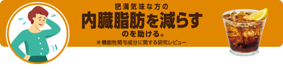 肥満気味な方の内臓脂肪を減らすのを助ける ※機能性関与成分に関する研究レビュー