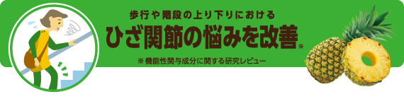 歩行や階段の上り下りにおけるひざ関節の悩みを改善 ※機能性関与成分に関する研究レビュー