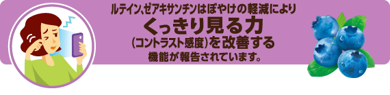 ルテイン、ゼアキサンチンはぼやけの軽減により、くっきり見る力（コントラスト感度）を改善する機能が報告されています。