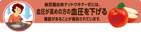 納豆菌由来ナットウキナーゼには、血圧が高めの方の血圧を下げる機能があることが報告されています。