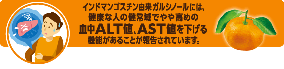 インドマンゴスチン由来ガルシノールには、健康な人の健常域でやや高めの血中ALT値、AST値を下げる機能があることが報告されています。