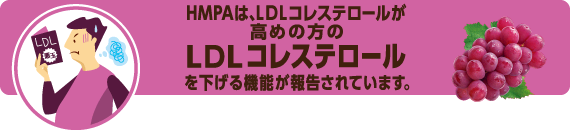 HMPAは、LDLコレステロールが高めの方のLDLコレステロールを下げる機能が報告されています。