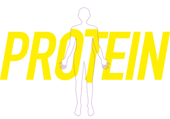 PROTEINイメージ