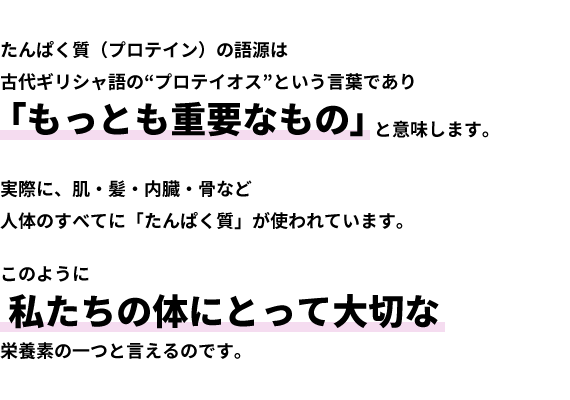 たんぱく質（プロテイン）の語源は古代ギリシャ語の“プロテイオス”という言葉であり 「もっとも重要なもの」と意味します。実際に、肌・髪・内臓・骨など人体のすべてに「たんぱく質」が使われています。このように 私たちの体にとって大切な栄養素の一つと言えるのです。