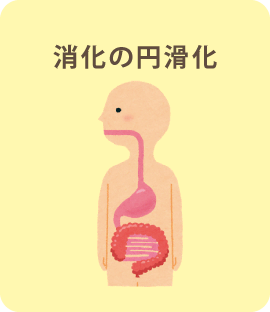 消化の円滑化