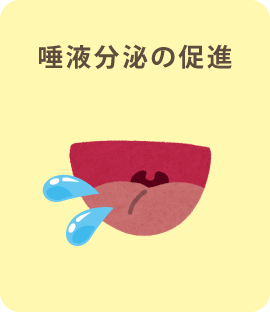 唾液分泌の促進