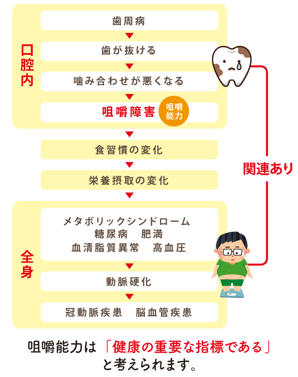 【図】咀嚼能力は「健康の重要な指標である」と考えられます。