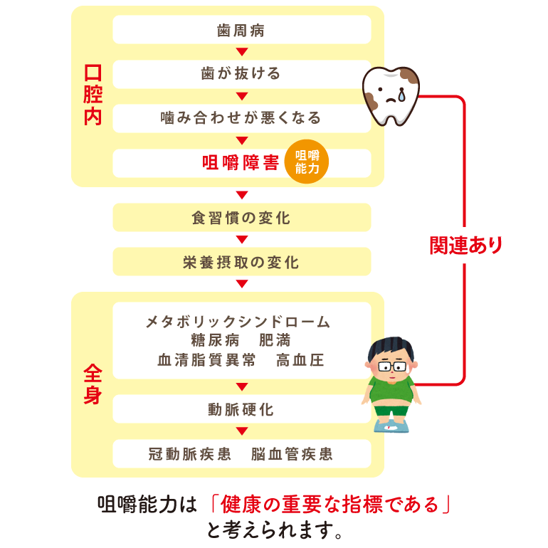 【図】咀嚼能力は「健康の重要な指標である」と考えられます。