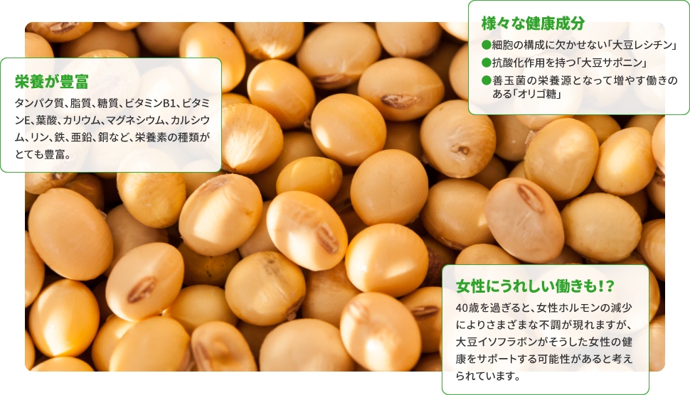 栄養が豊富／様々な健康成分／女性にうれしい働きも！？
